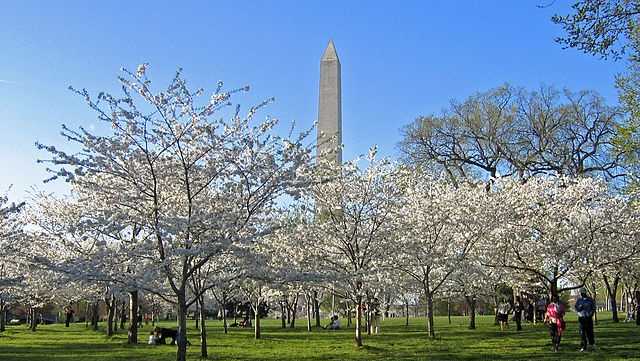 6.  Washington, D.C. -- TieTop income tax rate: 8.95%Sales tax: 6%Property tax per capita: $3,106