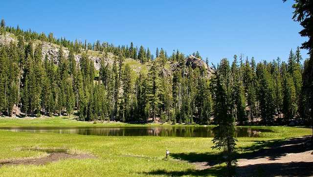 National Park Week starts Saturday; you can get in for free - Vimarsana News