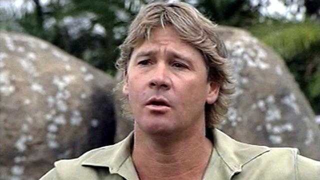 steve irwin pop turtle