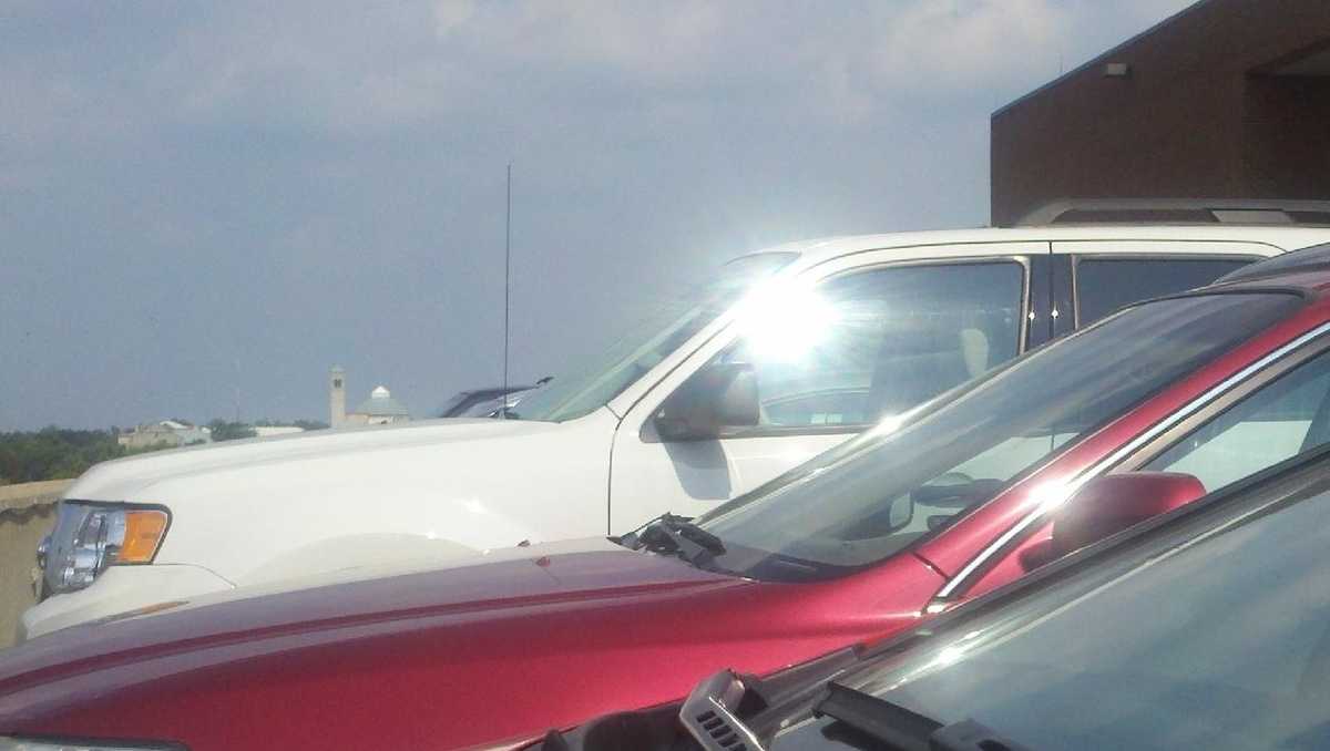 Woman ticketed after 6 dogs die in hot car, police say
