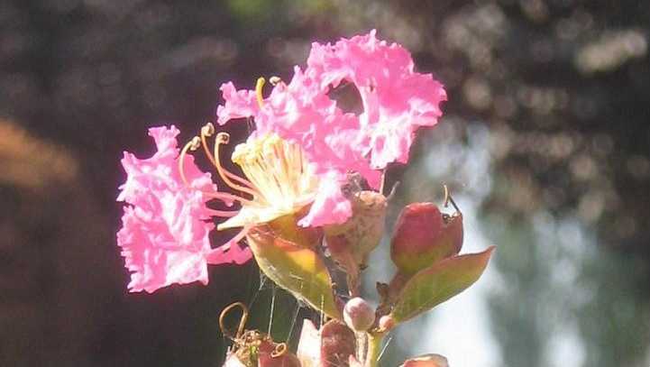 www.wapt.com