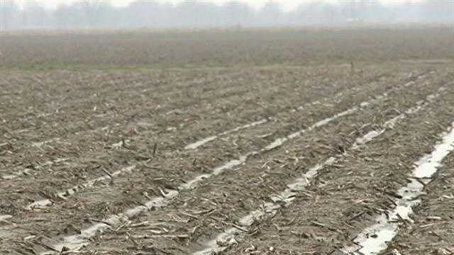 USDA announces new per-acre payments for Mississippi farmers