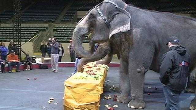 Do Portugal Circus brings high-flying thrills to Jackson for first Mississippi stop