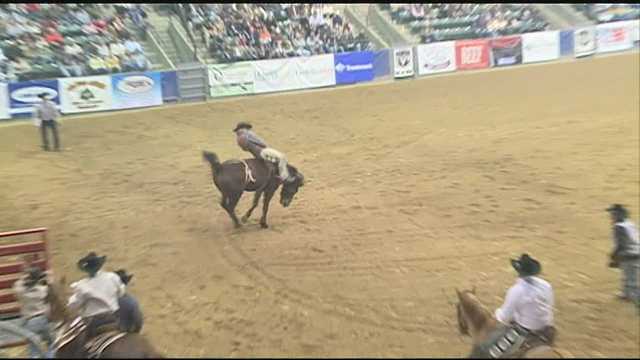 The Dixie National Rodeo means big money for the metro - Vimarsana News