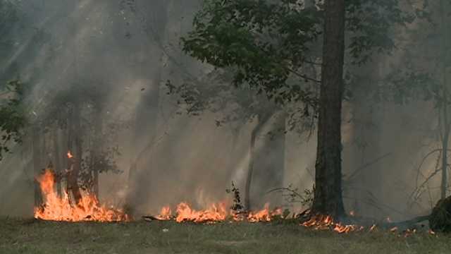Counties issue burn bans amid ongoing dry conditions - WAPT