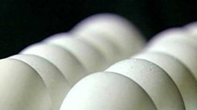 Cal-Maine Foods donates more than 10,000 dozen eggs to feed Mississippi families