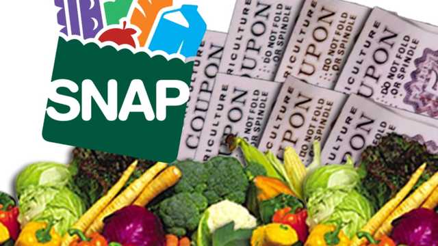 Families concerned about food security with looming SNAP cuts - Vimarsana News