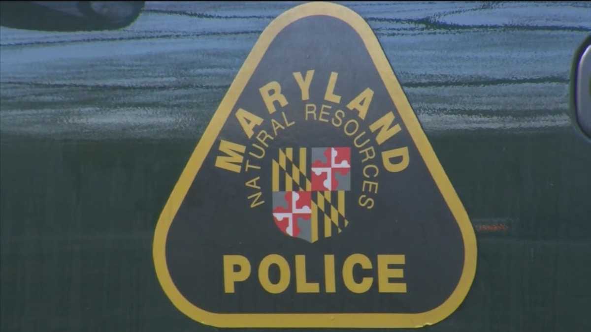 Fisherman bitten by beaver at Cunningham Falls State Park, DNR investigating rabid beavers