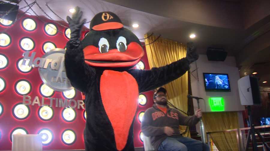 Oriole Bird inducted into National Mascot Hall of Fame