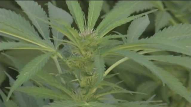 Carroll County leaders concerned over recreational marijuana - Vimarsana News