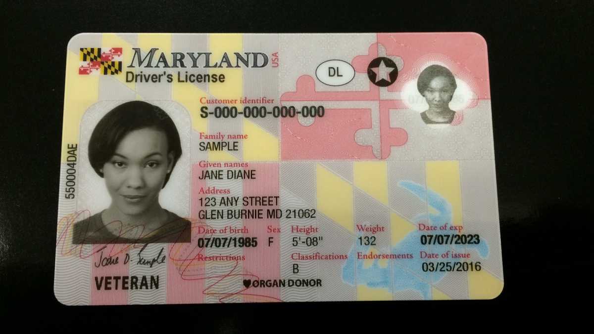 8,000 out-of-compliance Maryland driver's licenses recalled
