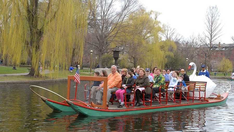 Swan Boats Return For 141st Season In Boston