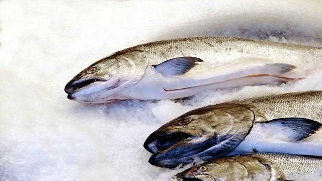 Gone fishin': Duke takes on Seattle's fish market