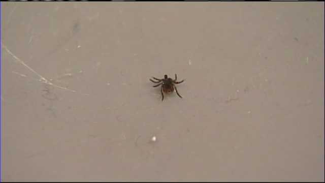 Deadly Powassan tick virus confirmed in Sharon - Vimarsana News