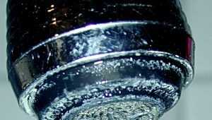 Long-term study finds no link between fluoride in drinking water and IQ