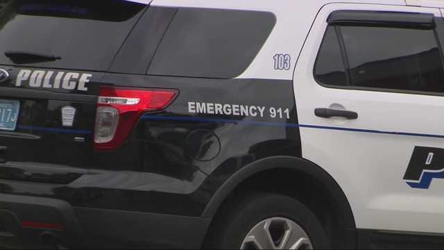 Revere man accused of stabbing dog to death, assaulting roommate - Vimarsana News