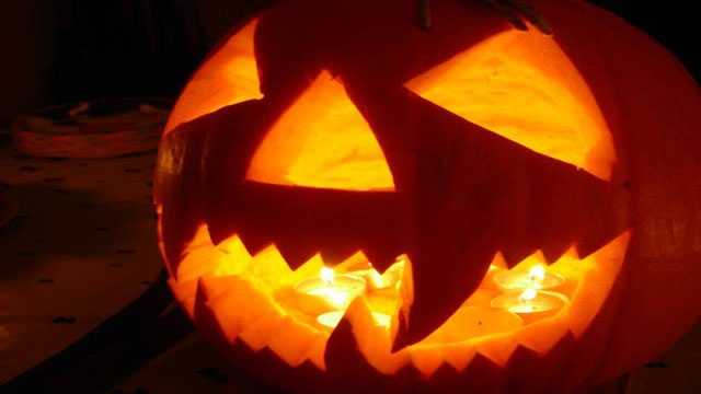 5 fun things to do in Massachusetts this Halloween weekend - Vimarsana News