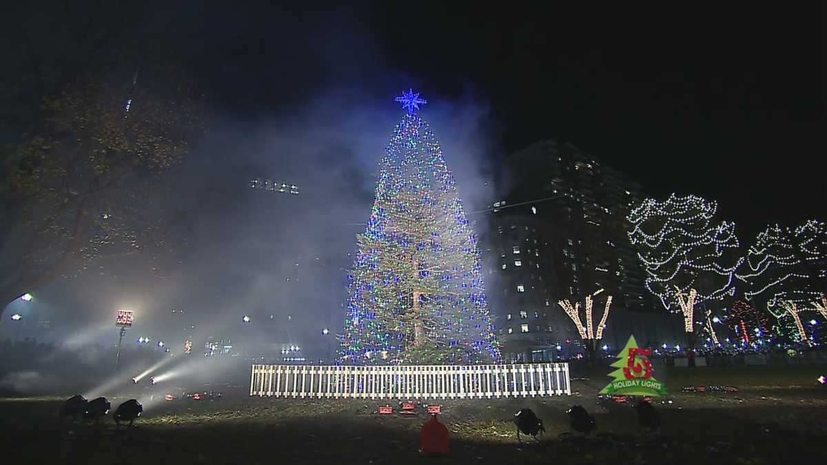 Boston history Christmas trees from Nova Scotia