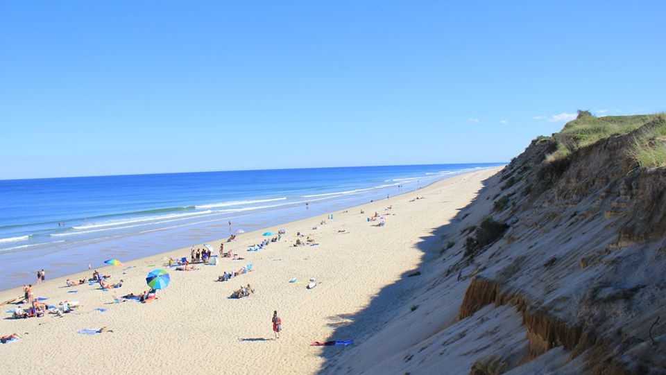 Cape Cod is touting itself as a 'safe destination' for summer fun - Vimarsana News