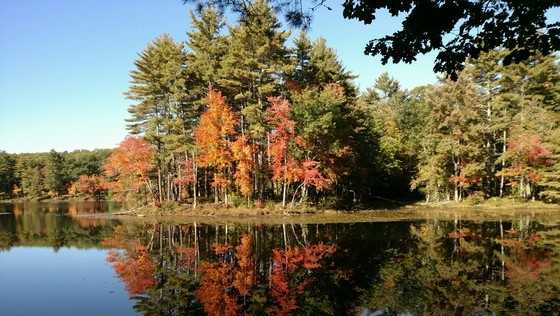 Rutland State Park in Massachusetts
