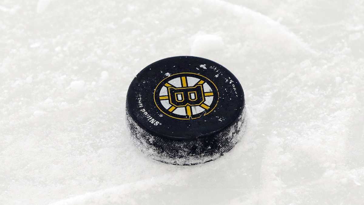 NHL - Boston Bruins Puck Mat