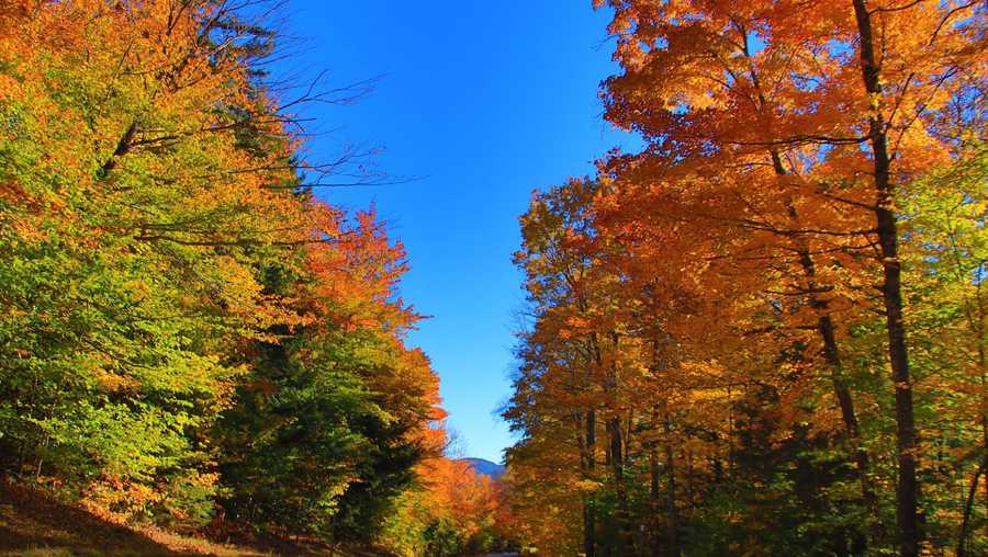 What to expect from fall foliage this year across New England