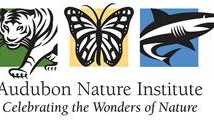 Audubon institute offers 'Wild Encounters' for animal lovers - Vimarsana News