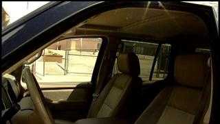 New Orleans car theft crime statistics