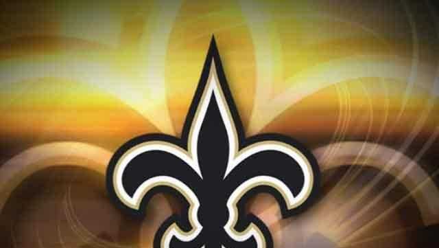 Saints Fan Gameday Playbook, New Orleans Saints