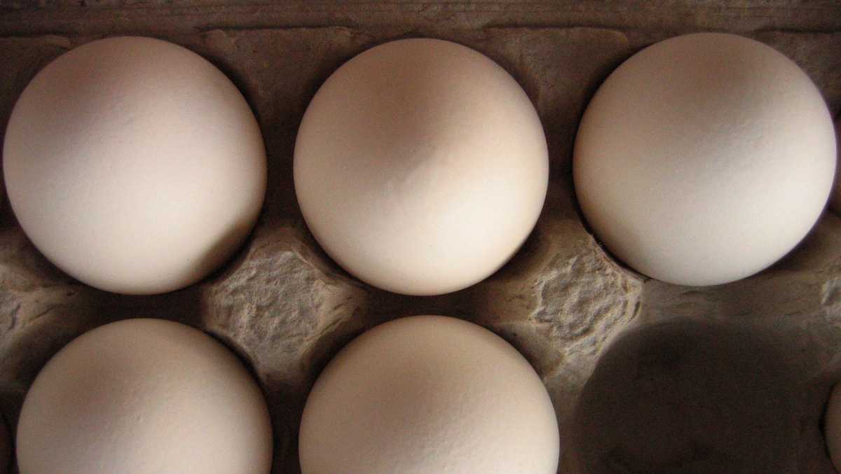 Nearly 1.6 million dozen eggs recalled in Louisiana, Mississippi and beyond over Salmonella