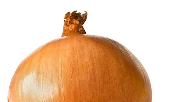 5 people in Louisiana sickened by salmonella outbreak in onions - Vimarsana News