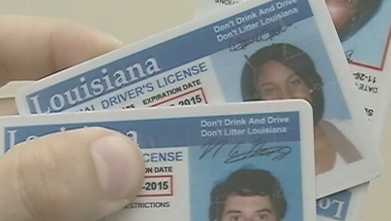 Louisiana Drivers License generic