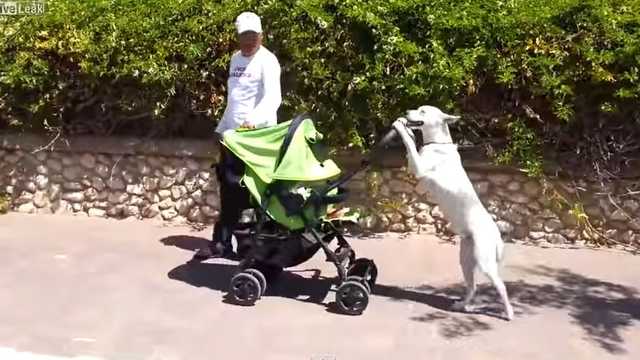 3 kid stroller wagon Germinate 4 Seater Stroller, Triple for 2 Kids Toddler double sided cutie Striking the perfect balance Coarse Fishing Terminal Tackle Select Size::L141BPFH-7/0 50 pk