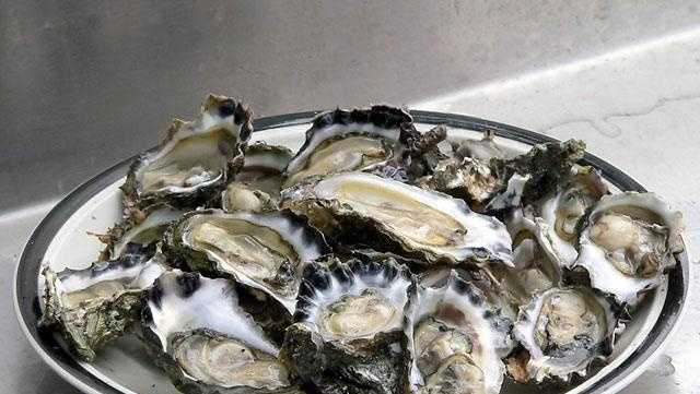 Improper oyster violations led to citations of two Houma residents, LDWF says