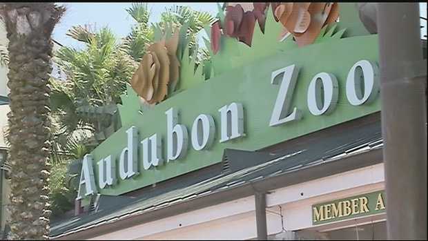 audubon zoo entrance in new orleans