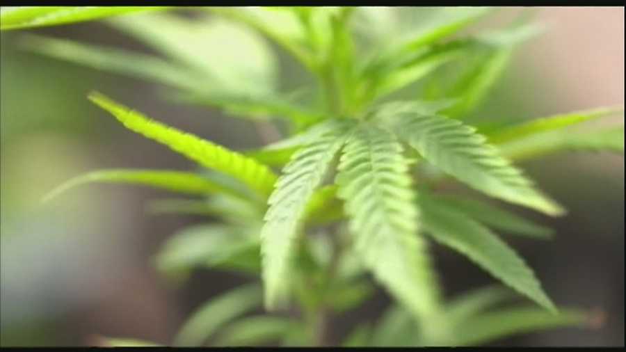 Bill allowing access to medical-grade pot clears state House of Representatives