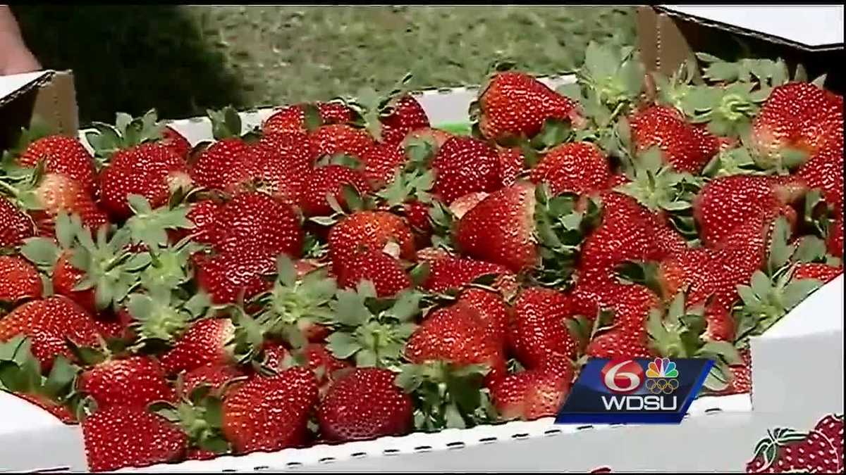 Here are the details for the 2017 Ponchatoula Strawberry Festival!