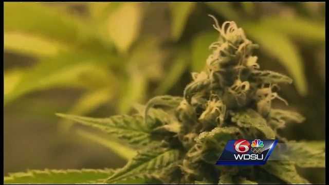 Lawmaker on medical marijuana: 'We're not going to be able to keep up and we'll only be failing the patients' - Vimarsana News
