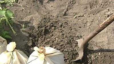 Central Florida opens sandbag locations ahead of potential tropical weather