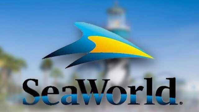 SeaWorld Orlando, Aquatica switching to cashless payments 