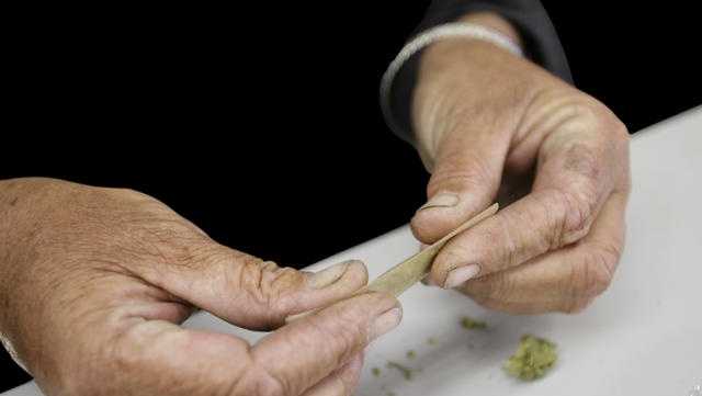 Money pours into Florida marijuana campaign - Vimarsana News