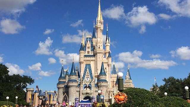 disney world adding beer wine to 4 magic kingdom restaurants
