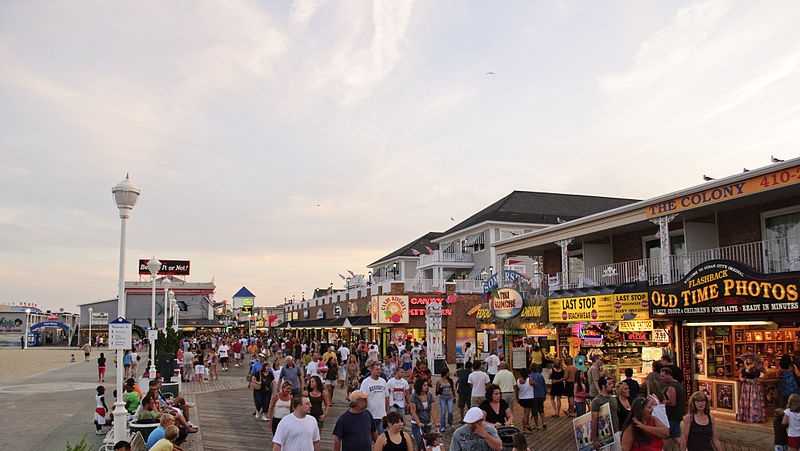 are dogs allowed on the boardwalk in ocean city md