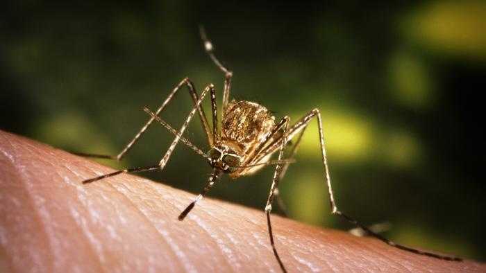 Бригады опрыскивают комаров в некоторых частях южно-центральной части штата Пенсильвания.