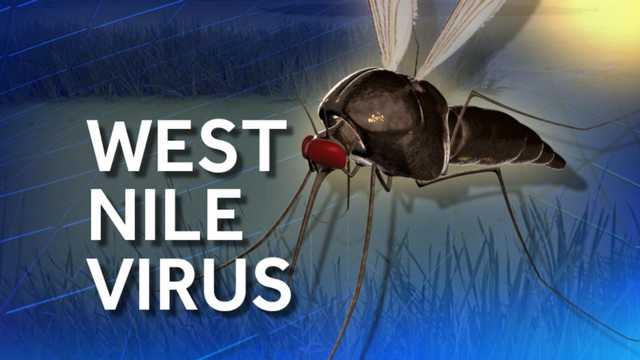 2nd mosquito in Cumberland County tests positive for West Nile - Vimarsana News
