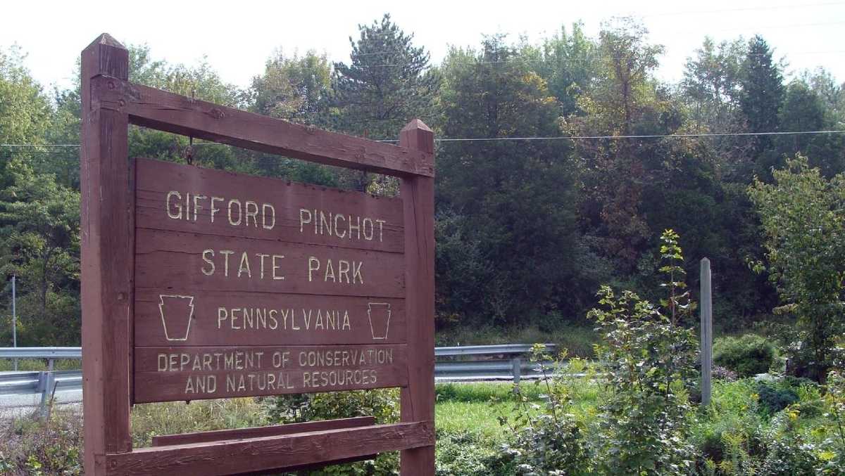 Gifford Pinchot State Park in York County temporarily bans swimming