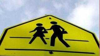 School Crosswalk Sign 