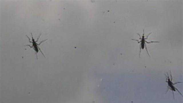 West Nile virus in Jefferson County: 2 people test positive - Vimarsana News
