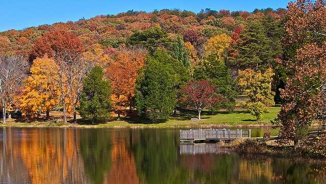 Bernheim Forest fills new ambassador position, seeks to connect underserved youth with nature - Vimarsana News