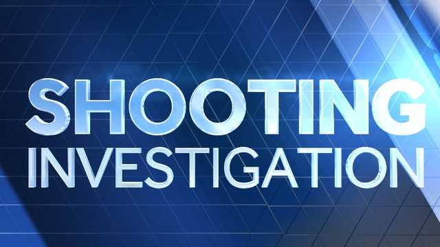 Police investigate deadly shooting in Lyndon - Vimarsana News